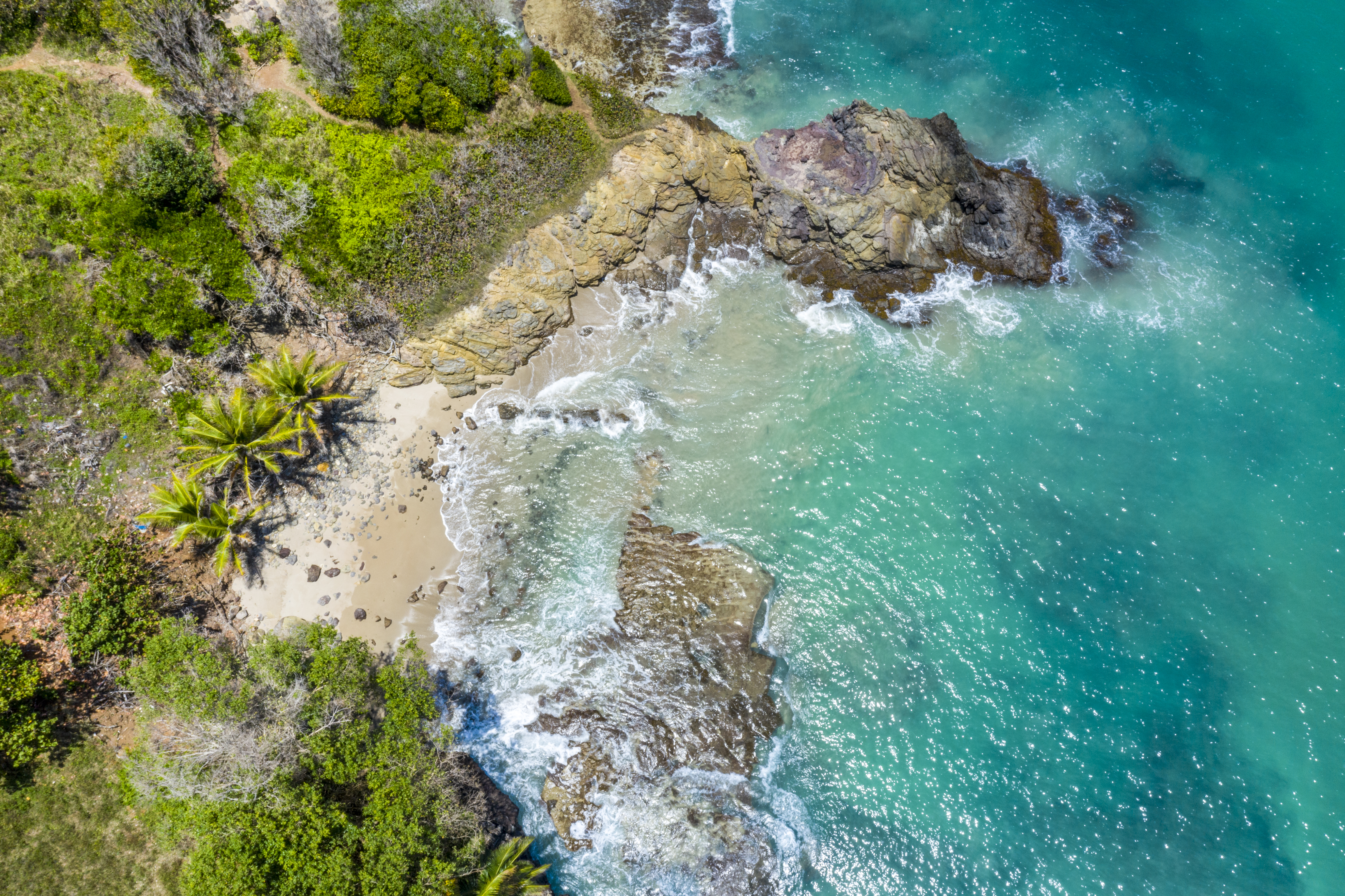 Plage Cluny